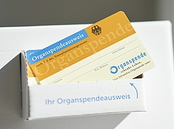 Organspendeausweis in einer Papphalterung